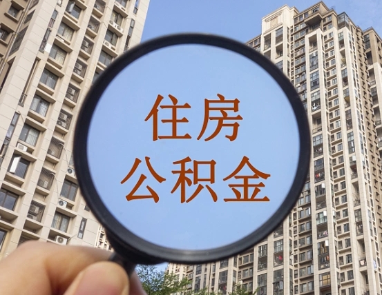 韶关退休后查不到公积金明细了吗（退休后公积金查询不到原因）